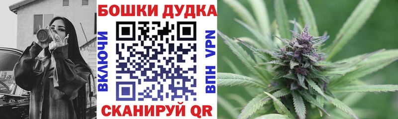 цена Кирсанов Марихуана семена